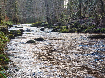 20220205202118-0f94be95